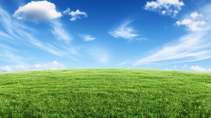 Fototapeta premium Serene landscape, verdant green field under a blue sky adorned with fluffy white clouds