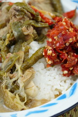 A lunch set with creamy coconut milk vegetable stew (sayur lodeh), red chili sambal, fried tempeh, and fried egg. The stew includes long beans (Vigna unguiculata) and young jackfruit (Artocarpus heter