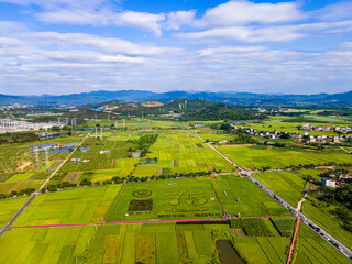 Building Beautiful Villages in China with Natural Ecological Countryside Scenery