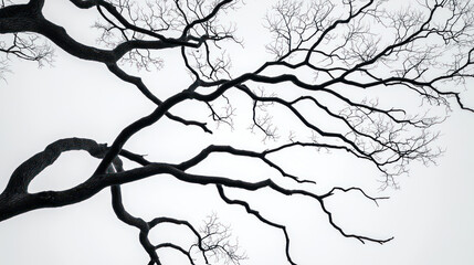 Obraz premium striking silhouette of tree branches reaching skyward, symbolizing resilience and mental clarity. intricate patterns create sense of calm and introspection