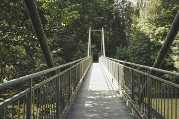 Brücke - Wald - Fluss - Erzgebirge - Deutschland - Sachsen - Übergang - Natur - Landschaft -...