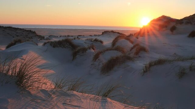 Sch&ouml;ne D&uuml;nenlandschaft am Kniepsand mit G&auml;nserufen und Wind im Hintergrund bei Sonnenuntergang, Amrum Video