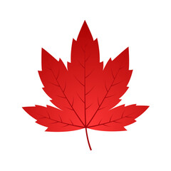 Vector illustration of red maple leaf on transparent background