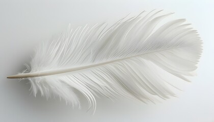 Obraz premium detailed white feather graphic on white background for creative design use