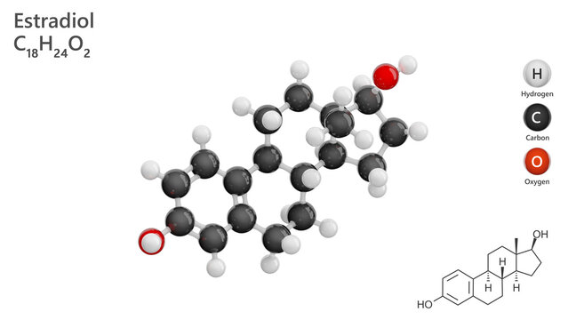Molecule: Estradiol or Oestradiol. Estrogen steroid hormone. Molecular structure. Formula: C18H24O2. Chemical model: Ball and stick. White background. 3D illustration.