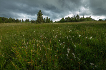 Stormy sky above the high mountain stubble.