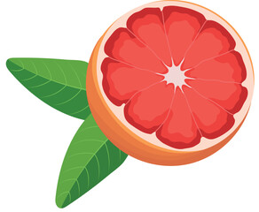 Obraz premium Ripe Red Grapefruit Fruits Sliced with Leaf Illustration Isolated on White Background