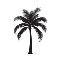 Obraz premium Coconut Palm Tree Vector