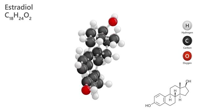 Estradiol or Oestradiol. Estrogen steroid hormone. Animated 3D model of a molecule. Molecular formula: C18H24O2. Chemical model: Ball and stick. White background. 3D rendering. Seamless loop.