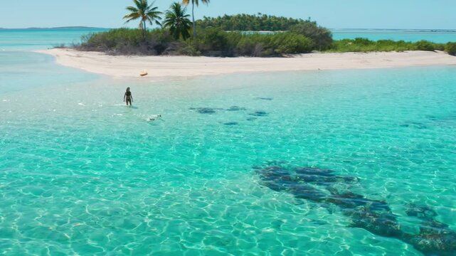 Aerial view of a young woman walking on the shallow water of a tropical island with turquoise water and a small island with palm trees in the background
