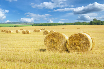 Bales of Hay in a farm field after harvest