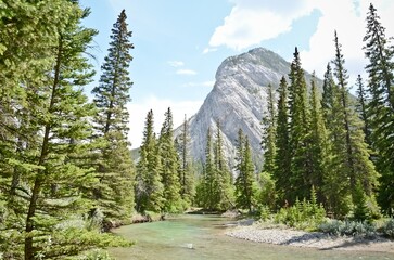 river landscape with trees and clouds