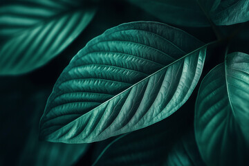 Obraz premium Texture of a green leaf close up 