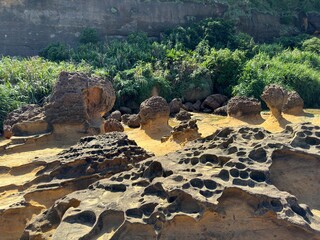 This photo shows the unique rock landforms of Yehliu Geopark. The rock surface shows honeycomb...