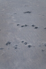 Footprints in the Sand