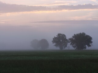 Nebbia al mattino