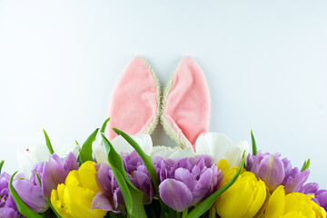 White Easter background with bunny ears and tulips. Easter card, copy space.