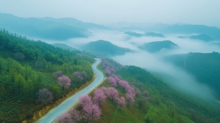 Obraz premium Green valley with misty mountains