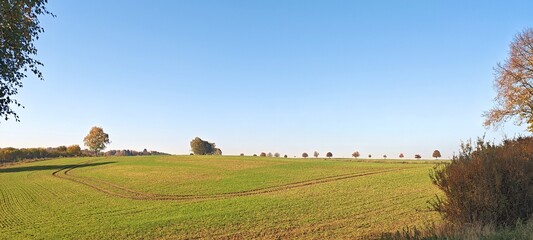 Fototapeta premium Felder im Herbst