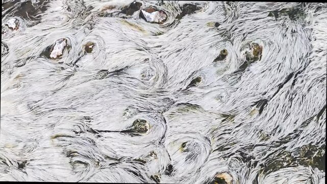 chloroflexus in hot springs water