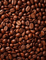 Fototapeta premium Granos de café textura