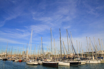 Fototapeta premium beautiful ships and boats are moored near the shore