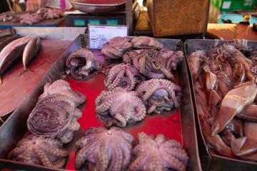 fresh marine species of cuttlefish and octopus on the counter © Tsyb Oleh