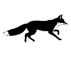 Obraz premium a fox running on the white background, vector art illustration, flat style