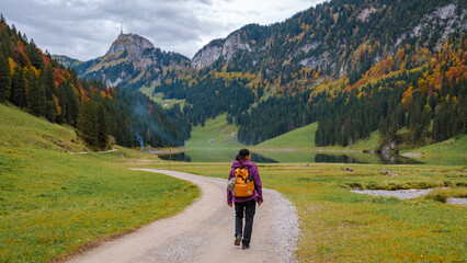 Fototapeta premium Exploring the serene beauty of Falensee in Appenzell, Switzerland during autumn strolls