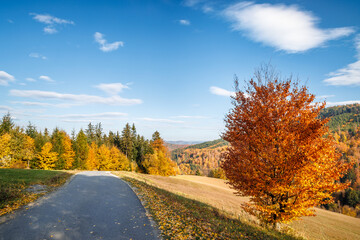 Naklejka premium Road in autumn landscape with colorful trees. Beskydy Mountains in Czech Republic, Europe.