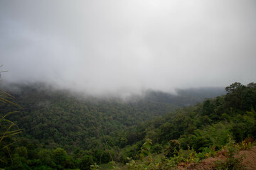 White mist that floats over mountain peaks and forests