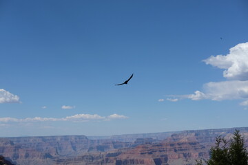 Naklejka premium Grand Canyon - October 2024