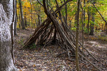 A  small winter shelter made of trees for hikers during bad weather in the woods