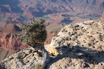 Grand Canyon - October 2024