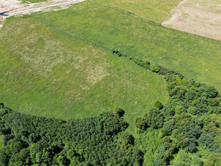 Aerial view of lush green fields and dense trees, showcasing serene nature. Ideal for landscapes...