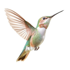 A hummingbird is flying in the air with its wings spread wide