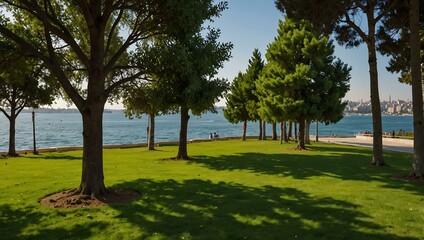 Obraz premium Small trees on a green lawn by the seaside in Kadikoy Moda Sahil Park, Istanbul.