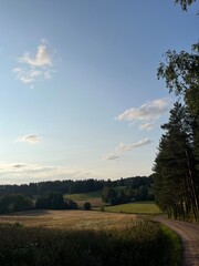 Obraz premium Fields and forest.