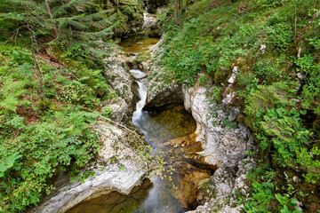 Views from the trail running through the Mostnica River Valley. Slovenia - Mostica Gore