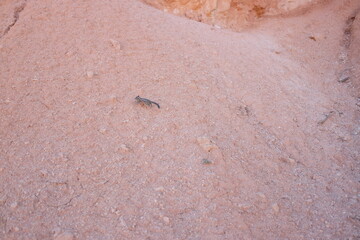Bryce Canyon National Park - October 2024