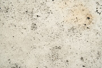 Obraz premium Elaborate retro pale concrete wall or light gray countertop backdrop texture, highlighting the artistry of cement and stone