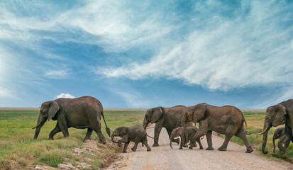 Fototapeta premium Kenya is a country in East Africa with a coastline on the Indian Ocean.