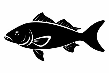 Barramundi Fish silhouette vector, fish black silhouette vector illustration
