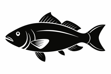 Barramundi Fish silhouette vector, fish black silhouette vector illustration
