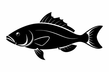 Barramundi Fish silhouette vector, fish black silhouette vector illustration
