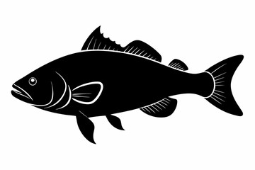 Barramundi Fish silhouette vector, fish black silhouette vector illustration
