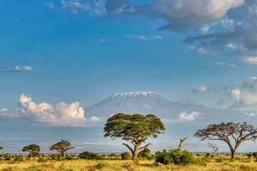 Kenya is a country in East Africa with a coastline on the Indian Ocean.