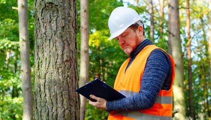 Male forester checks the quality of a pine tree. Forest engineer in a hard hat inspects a tree in...
