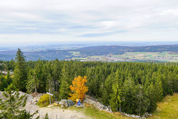 Herbstwald im Fichtelgebirge bunte Blätter