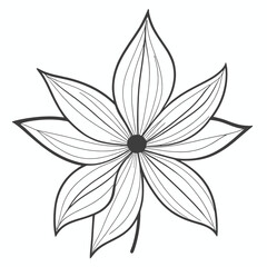 a black and white line drawing of a flower, line art vector